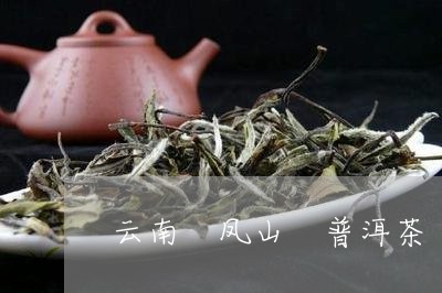 云南 凤山 普洱茶/2023031989262